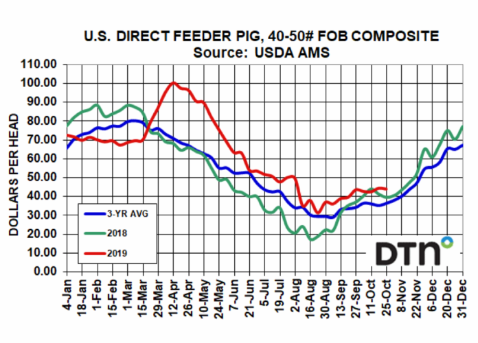 Hog Market, Compared to a Year Ago Canadian Hog Journal