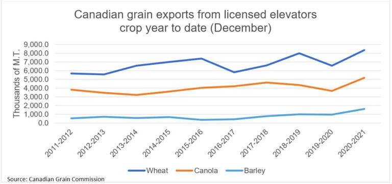 High grain prices drive feed costs