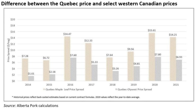 Ups and downs of Quebec pig pricing