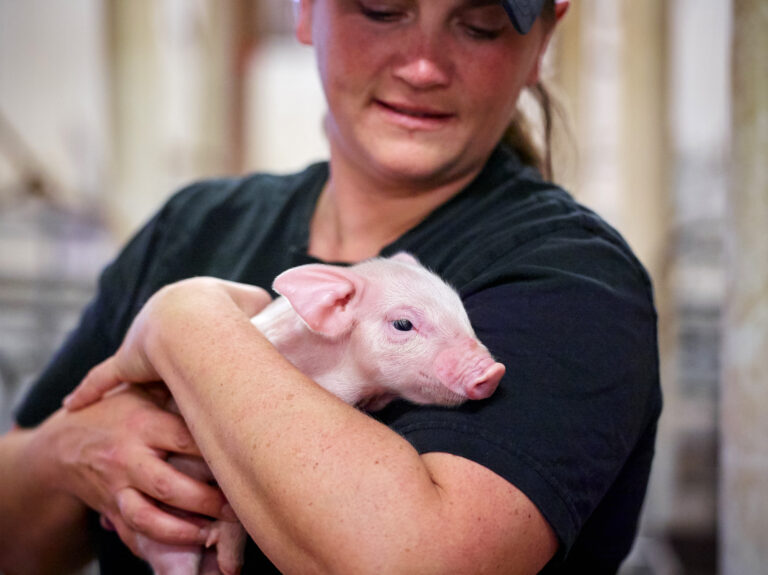 Pork producers support student success