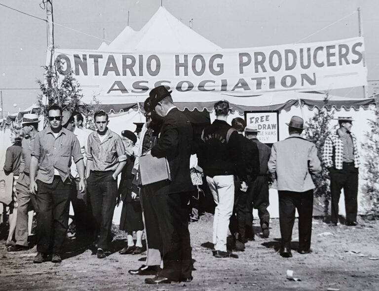 Ontario Pork: 75 years of progress and resilience