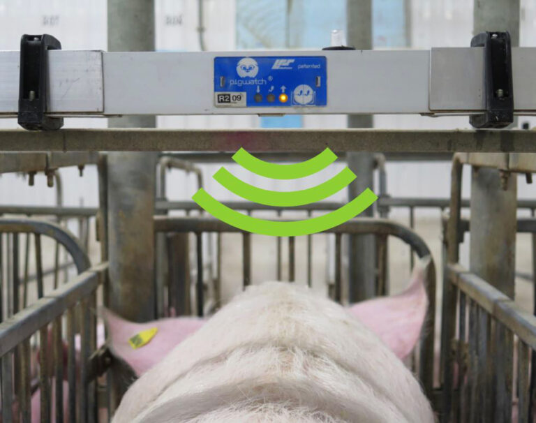 Technology supports breeding efficiency