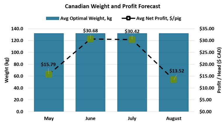 Optimum pig weights help optimize profits